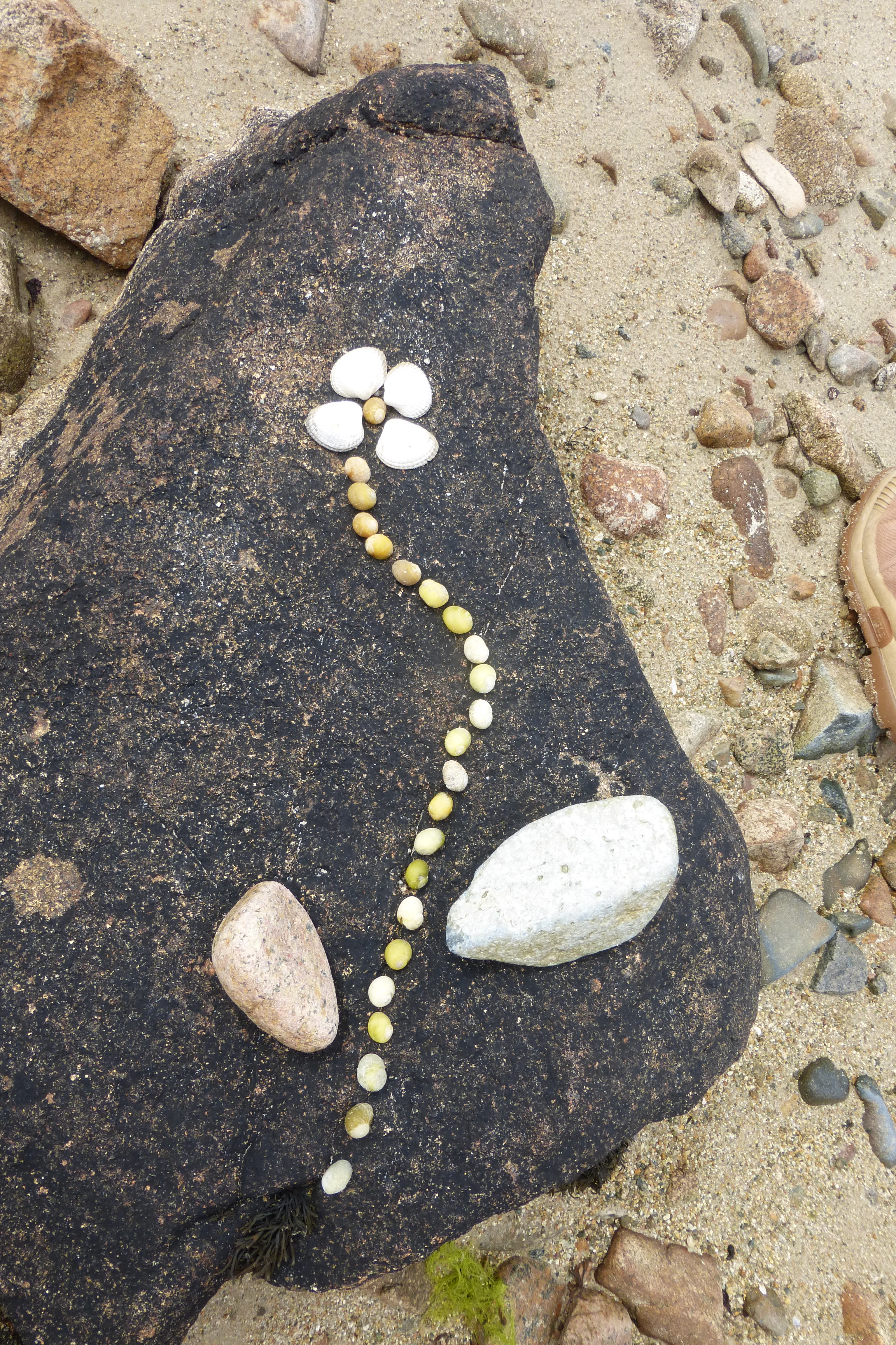 Atelier Land Art